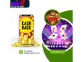 best-twenty-20-betting-id-provider-in-india-wic11-official-small-0
