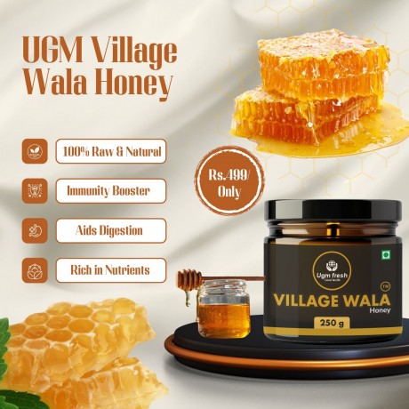 unlock-natural-wellness-organic-jungle-honey-pure-a2-desi-ghee-bulk-order-now-big-0