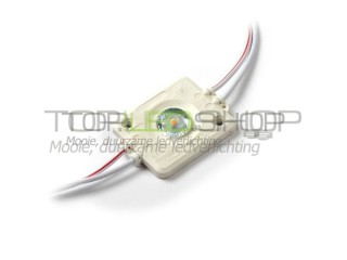LED Lamp 12V