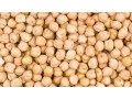leverancier-van-premium-kikkererwten-small-0