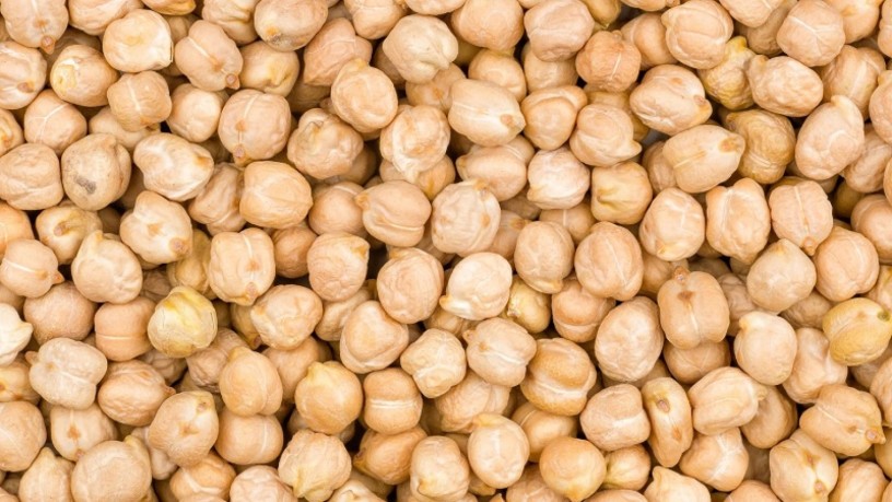 leverancier-van-premium-kikkererwten-big-0