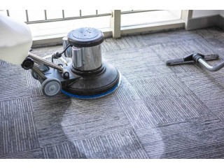 Carpet Cleaning Services in West Auckland
