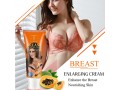papaya-breast-enlarging-cream-in-pakistan-what-is-papaya-for-breast-aichun-beauty-small-0