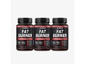dmoose-fat-burner-how-to-use-leanbean-official-03000479274-small-0