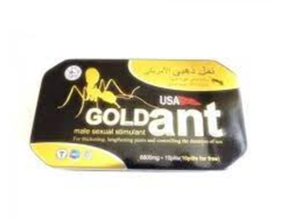 gold-ant-usa-tablets-ship-mart-timing-tablets-03000479274