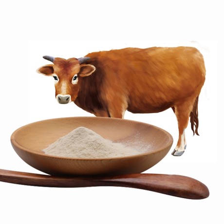 bulk-collagen-gembra-health-big-1