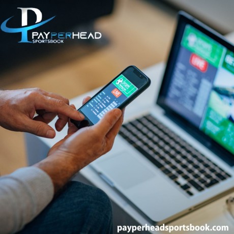 payperhead-sportsbook-buy-betting-software-online-big-0