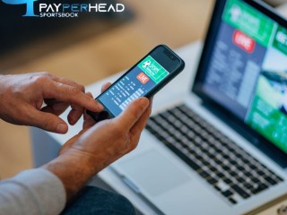 payperhead-sportsbook-buy-betting-software-online