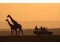 kenyatanzaniasafari-kenya-safari-tour-operators-small-0