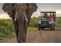 kenyatanzaniasafari-kenya-safari-tour-operators-small-2