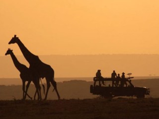 kenyatanzaniasafari-kenya-safari-tour-operators