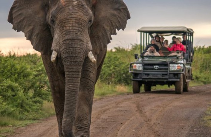 kenyatanzaniasafari-kenya-safari-tour-operators-big-2