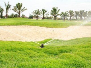 best-golf-grass-types-the-golfers-should-know-about-your-golfspot