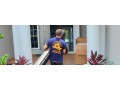 orange-movers-small-1