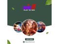 online-horse-race-betting-in-india-small-0