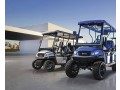 ami-golf-cart-rentals-small-0