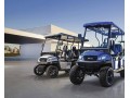ami-golf-cart-rentals-small-0