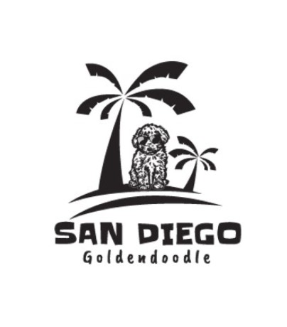 adopt-your-perfect-goldendoodle-puppy-today-big-0