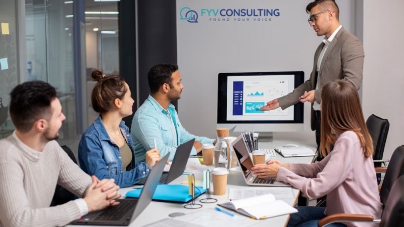 business-efficiency-consultant-in-usa-fyv-consulting-big-0