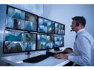 Virtual Security Guard