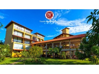 Discover the Healing Power of Ayurveda at Sri Lanka’s Premier Resorts