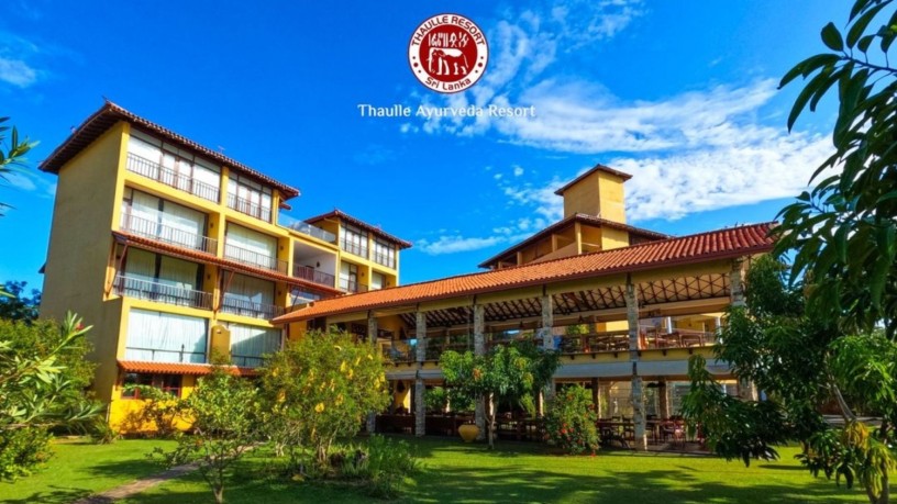 discover-the-healing-power-of-ayurveda-at-sri-lankas-premier-resorts-big-0