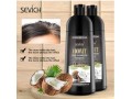 sevich-coconut-dye-shampoo-in-pakistan-wellmart-923208727951-small-0