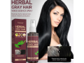 trstay-herbal-gray-hair-spray-in-pakistan-wellmart-923208727951-small-0