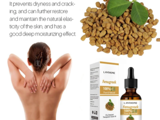 trstay-breast-enlargement-fenugreek-oil-in-pakistan-wellmart-923208727951