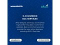 top-e-commerce-development-marketing-services-in-india-small-0