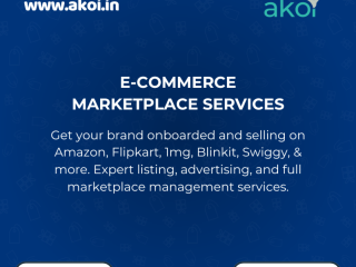e-commerce-amazon-flipkart-q-commerce-marketing-company