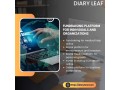 the-ultimate-social-platform-for-entrepreneurs-and-investors-small-0