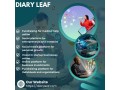 diary-leaf-a-social-media-platform-for-personal-growth-small-0