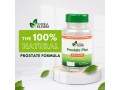 herbal-testosterone-supplement-small-0