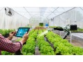 buy-greenhouse-software-small-0