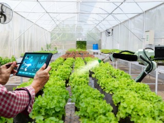 buy-greenhouse-software