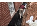basement-leak-repair-queens-ny-small-0