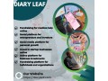 invest-in-startup-businesses-online-diary-leaf-small-0