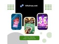 k9winau-play-the-best-free-pokies-games-in-australia-small-0