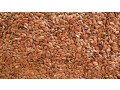 stay-health-conscious-with-high-quality-flaxseeds-supplies-small-0