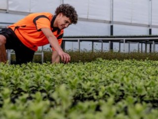 nursery-inventory-management