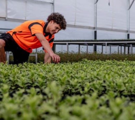 nursery-inventory-management-big-0