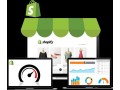 shopify-ppc-agency-small-0