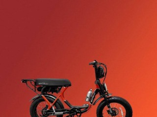 feel-the-island-breeze-with-anna-maria-island-ebike-rentals