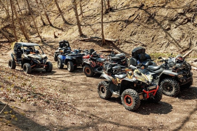 go-karts-for-sale-off-road-go-karts-dune-drift-buggies-bmi-kit-on-best-price-adult-carts-racing-big-0