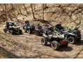 go-karts-for-sale-off-road-go-karts-dune-drift-buggies-bmi-kit-on-best-price-adult-carts-racing-small-0