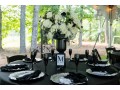 ease-off-your-family-parties-with-customized-packages-from-event-decorator-in-atlanta-small-0