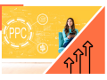 shopify-ppc-management-small-0