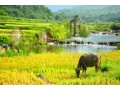 grab-the-best-vietnam-tour-deal-with-just-a-click-small-0