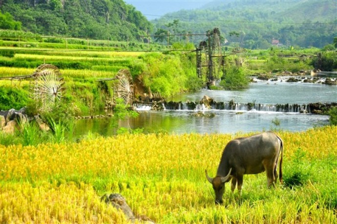 feel-the-luxorious-life-of-vietnam-with-vietnam-luxury-tours-big-0